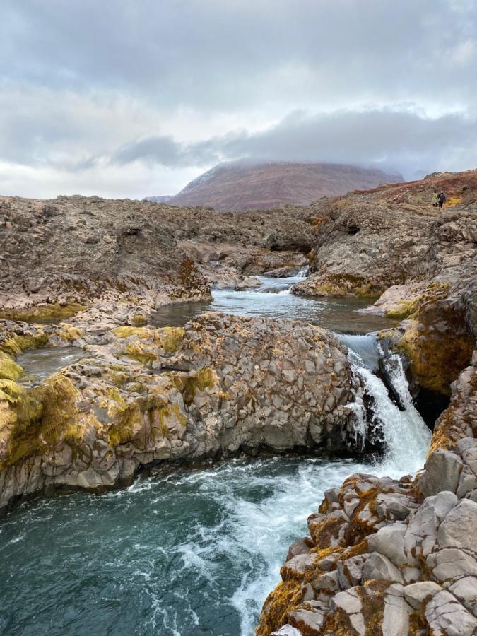 Qeqertarsuaq Hotel Disko Island מראה חיצוני תמונה